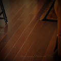 american black walnut floor